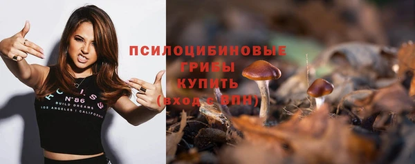 марки nbome Богданович