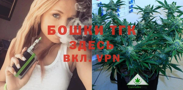 дурь Богородицк