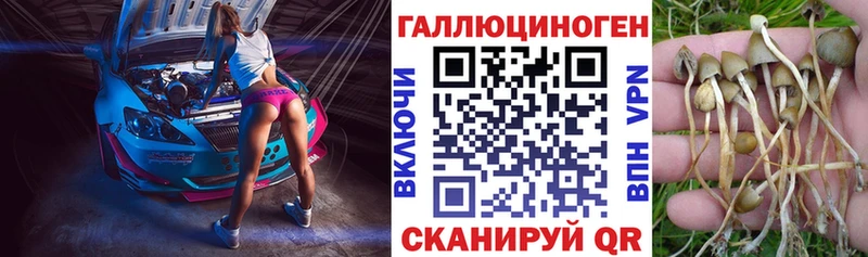 Псилоцибиновые грибы Magic Shrooms  Туран 